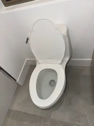 Bathroom after move in cleaning